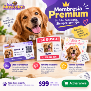 Membresía Premium