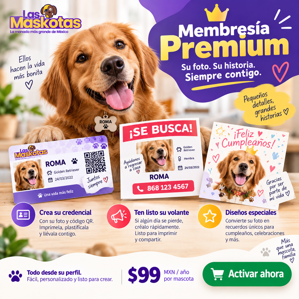Membresía Premium